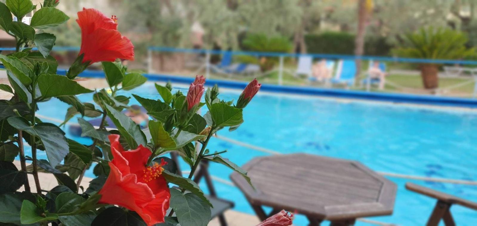 Tsigoura Verde Resort Mikros Prinos 외부 사진